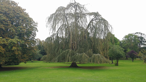 Photo de Maison Diocesaine les Tourelles