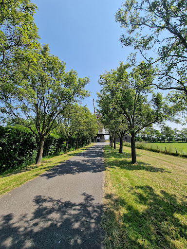 De Onderneming - Thumbnail