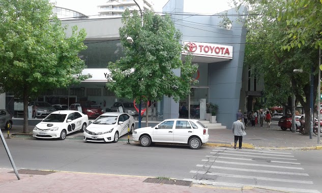 Toyota Yacopini, Author: ricardo figueroa