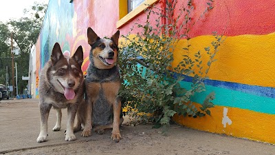 The Silver City Food Co-op