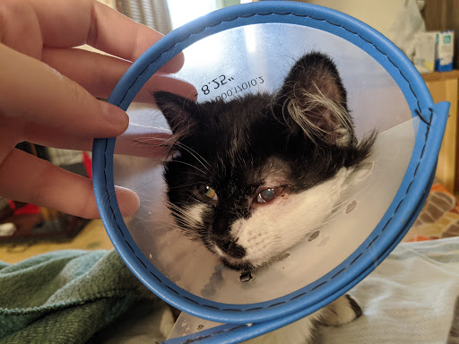 Laursen Veterinary Service - Thumbnail