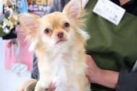 トリミングサロン-ポルタ-