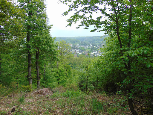 Zweifall Aussichtspunkt - Thumbnail