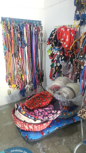 Veterinaria DinoVet