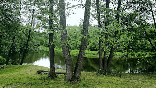 Stovyklavietė