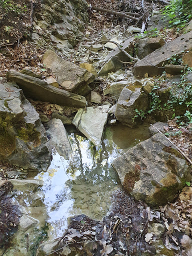 Sorgente Stirone - Visual