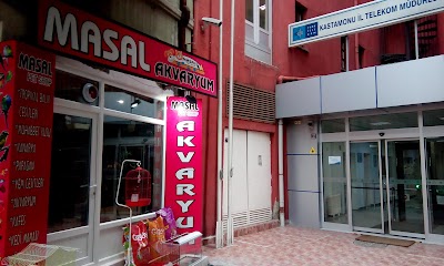 Masal Akvaryum