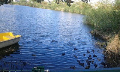 Photos of Bejaia attraction park