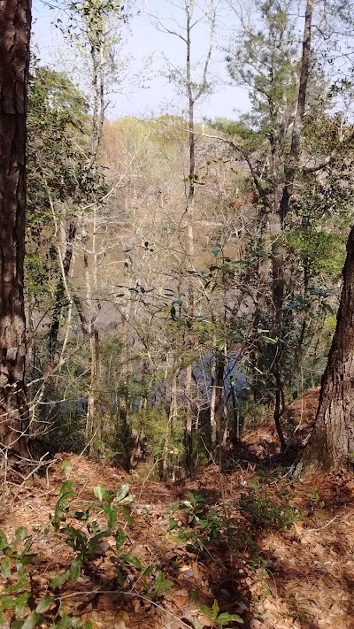 Photos of Upper County Landing