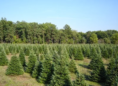 Photos of Fox Hollow Farms