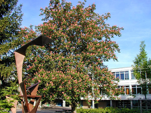 St.-Veit-Schule Flein - Thumbnail
