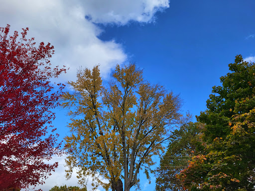 Kitchener Mount Hope Cemetery - Thumbnail