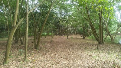 Photos of HUMEDALES DEL OZAMA