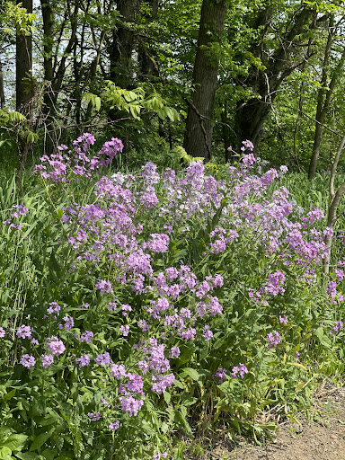 2 Bees Campground - Visual