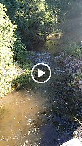 HAMMANN PARK - Visual