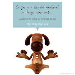 Photo n°2 de MEDIACCOMP à Naveil (Service de médiation)