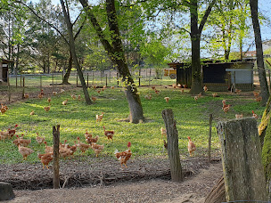 Photo n°10 de Clos de Chaumont : Volailles Plein Air à Haux (Élevage de volailles)