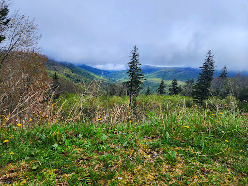 Tea Creek Trailhead - Thumbnail