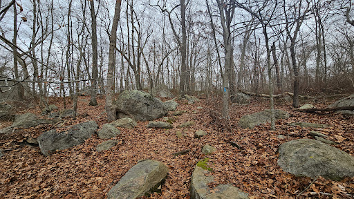 Hidden Lake Walking Trails Logo
