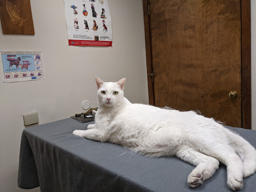 Cumberland Animal Hospital Pa - Thumbnail