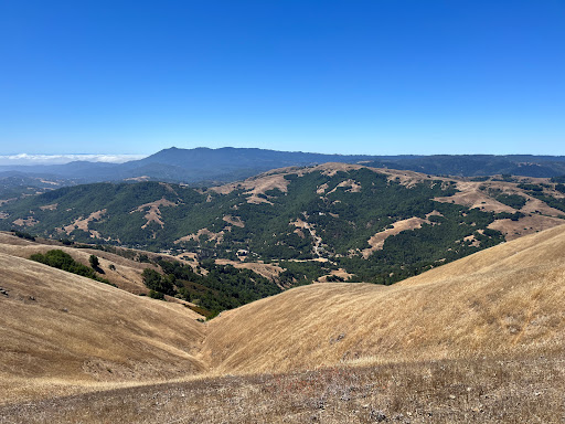 Ponti Ridge Trail Gallery - United States