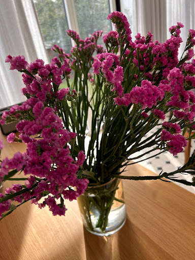 Blumen Robby - Visual