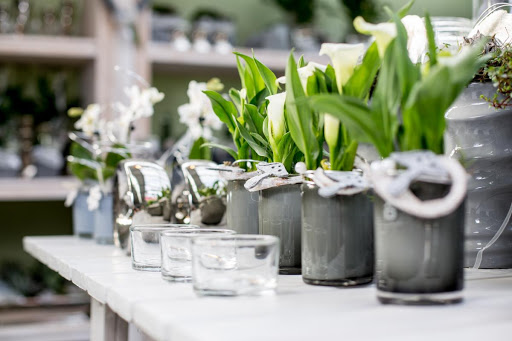 flora-point Blumenshop GmbH Verwaltung / Zentrale - Thumbnail