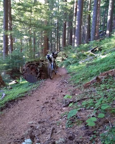 Woods Creek Trailhead