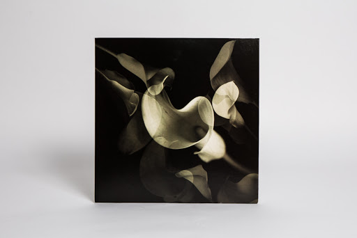 Matter Of Fact Vinyl - Thumbnail