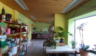 Blumen Iten u. Co.
