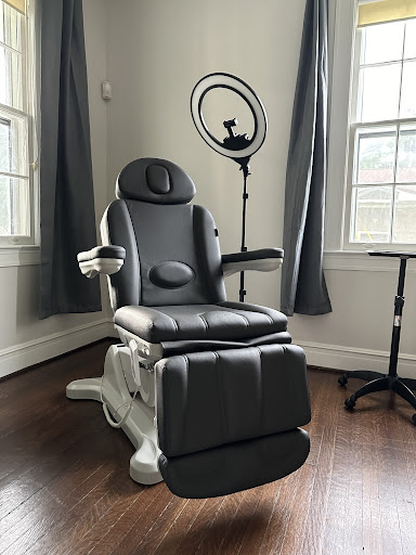 The Art of Aesthetics, LLC