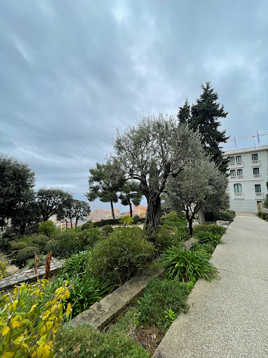 New National Museum of Monaco - Villa Paloma - Thumbnail