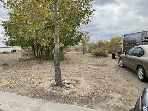Esquire Estates - Visual