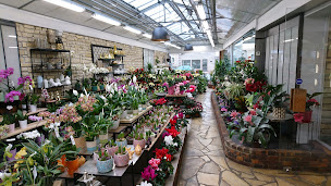 Photo n°27 de Antoine Thomas artisan fleuriste à Cuise-la-Motte (Fleuriste)