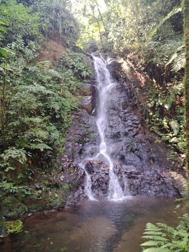 Cascada del Jabalí Gallery - Mexico
