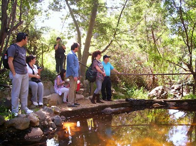 Photos of Ecoreserva "Los pavos reales"