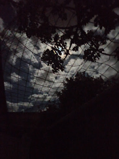 Park Gate - Visual