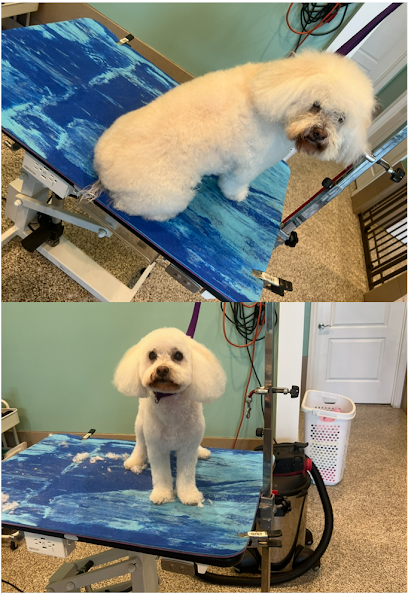 Suds N Wiggles Pet Grooming