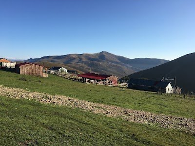 Şıh Obası Yaylası