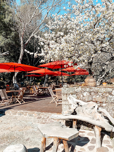 Photo de Chambre d’hôte A l'Ombre du Clocher - Gîtes de France à Calenzana (20214)