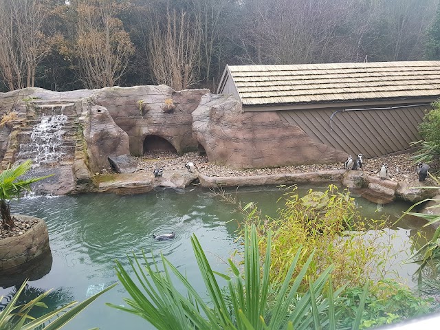 Colchester Zoo