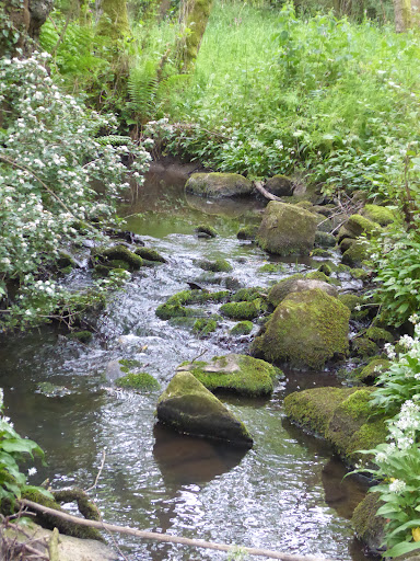 Ulverscroft Mill - Visual