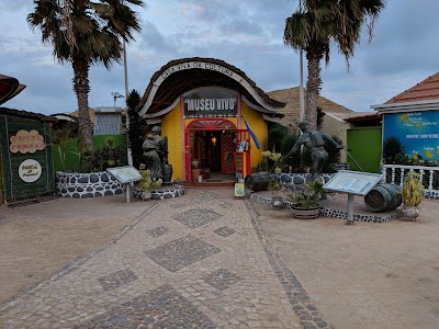 Photos of The Turtle Shack