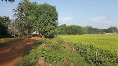 Photos of Kampong Speu Agriculture Department