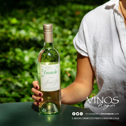 Vinos Wagner - Visual