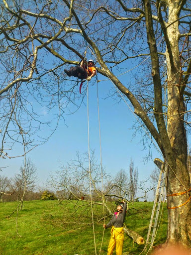 Botánico del CIFP La Granja
