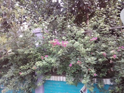 Photos of Sector-14 Park