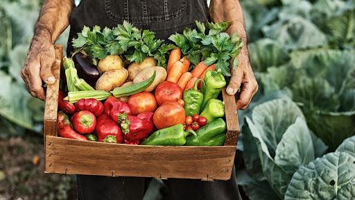 Red Cedar Farms - Thumbnail