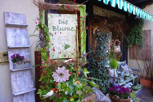 Die Blume Gengenbach