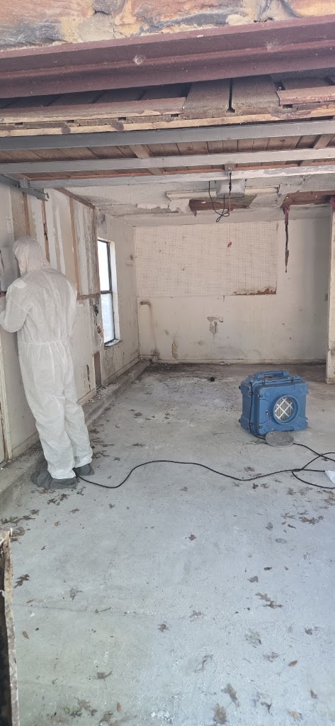 Rapid Restoration Texas photo